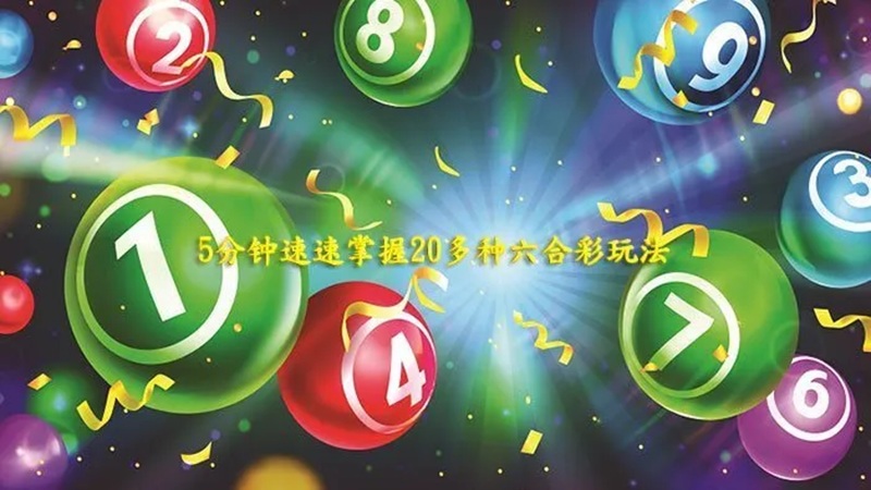 六合彩特码玩法详解