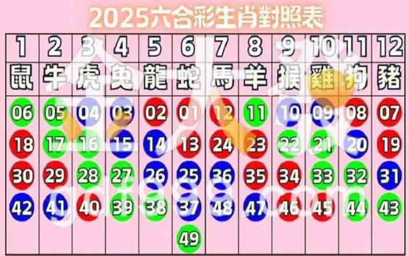 2025六合彩生肖