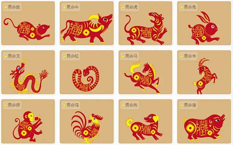 开奖记录分析生肖走势