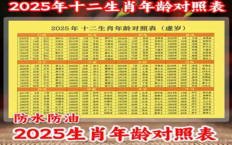 如何通过生肖预测提高中奖率