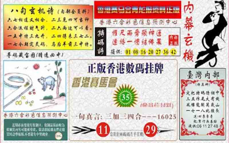 香港六合中一肖中特的概率